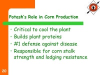 1 Corn 2005 Ouachita Fertilizer. 2 Ouachita Commitment to you Increase yields Lower Costs Help solve specific production problems... 