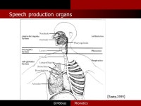 Bernd Möbius Computational Linguistics & Phonetics C7.2 / 4.08, x4244 M.Sc. Bridge Course, WS 2010 B Möbius Phonetics. -  ppt... 