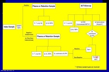 E011375A ( ) 1 Issues Regarding Qualification/Implementation of an Antibody Test for Trypanosoma cruzi Susan L. Stramer, PhD... 