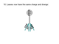 Electrostatics. Electric Charges: the basis of electricity is charge. The charge on an atom is determined by the subatomic... 
