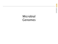NCBI FieldGuide NCBI Molecular Biology Resources July 8, 2004 University of São Paulo, Brazil “ Third Latin American Course on... 