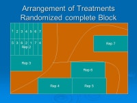 Conducting Experimental Trials Gary Palmer. Scientific Method  Formulation of Hypothesis  Planning an experiment to objectively... 
