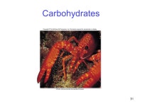 The Chemical Building Blocks of Life Chapter 3. 2 How Carbon forms the framework of Biological Molecules? Biological molecules... 