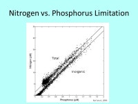 The Chemical Composition of Seawater Winn Johnson 25 August 2015 Regional Maritime University. -  ppt download