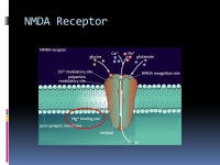Ryan Dreikorn BSN SRNA York College of Pennsylvania / WellSpan Health Nurse Anesthesia Program. -  ppt download