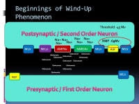 Ryan Dreikorn BSN SRNA York College of Pennsylvania / WellSpan Health Nurse Anesthesia Program. -  ppt download