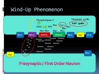 Ryan Dreikorn BSN SRNA York College of Pennsylvania / WellSpan Health Nurse Anesthesia Program. -  ppt download