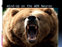 Ryan Dreikorn BSN SRNA York College of Pennsylvania / WellSpan Health Nurse Anesthesia Program. -  ppt download