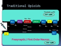 Ryan Dreikorn BSN SRNA York College of Pennsylvania / WellSpan Health Nurse Anesthesia Program. -  ppt download