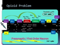 Ryan Dreikorn BSN SRNA York College of Pennsylvania / WellSpan Health Nurse Anesthesia Program. -  ppt download