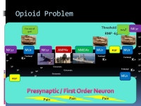 Ryan Dreikorn BSN SRNA York College of Pennsylvania / WellSpan Health Nurse Anesthesia Program. -  ppt download