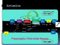 Ryan Dreikorn BSN SRNA York College of Pennsylvania / WellSpan Health Nurse Anesthesia Program. -  ppt download