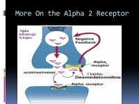 Ryan Dreikorn BSN SRNA York College of Pennsylvania / WellSpan Health Nurse Anesthesia Program. -  ppt download