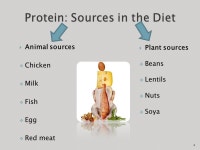 1. 2 ProteinCarbohydrates Fats Nutrients Sources Importance Lack Types Sources Importance Lack Excess Types Sources Importance... 
