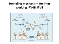 IPV6-VOIP ANIL K NARAM A1263 CN426-SVU. Introduction IPV4 IPV6 VOIP IPV4 to IPV6 Migration of VOIP to IPV6. -  ppt download