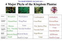 Kingdom Plantae Life on land requires adaptations for: Water conservation – eg. waxy cuticle on leaves Transport of water and... 