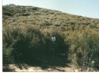 SI Bio 211 Thursday, November 20, 2008 Jenny F.. What biome is this? -  ppt download