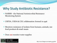 Chuck Somerville Marshall University Huntington, WV. -  ppt download