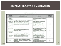 By: Dario Marotta 10/23/ ELASTASE A SERINE PROTEASE. -  ppt download