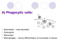 Metabolism of leukocytes and platelets -  ppt download