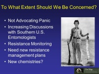 Evidence for Decreasing Corn Earworm Susceptibility to Pyrethroids: Impact & IPM Recommendations for 2007 W. Hutchison, E.... 