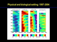 Equatorial Pacific primary productivity: Spatial and temporal variability and links to carbon cycling Pete Strutton College of... 