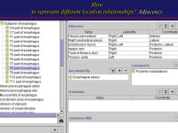 How do We Teach Anatomy to the Computer? Structural Informatics Group University of Washington American Association of Clinical... 
