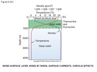 EFFECT OF SALINITY ON FREEZING AND DENSITY OF WATER. -  ppt download