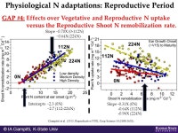 Ignacio A. Ciampitti, Cropping Systems Specialist K-State Research & Extension (TWITTER) -  ppt download