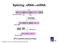 and Limsoon Wong For written notes on this lecture, please read Chapters 4 and 7 of The Practical Bioinformatician. -  ppt download