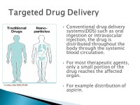 Instructor: Dr. Marinella Sandros 1 Nanochemistry NAN 601 Lecture 24: Drug Delivery Systems. -  ppt download
