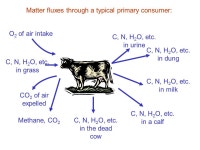 ECOSYSTEM ECOLOGY … the integrated study of biotic and abiotic components of ecosystems and their interactions. To achieve this... 