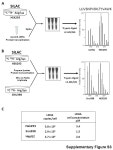 Compound 5 Structure hLDHA IC ± µM hLDHB IC ± 0.07 µM Supplementary Figure S1. -  ppt download