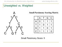 Introduction to Bioinformatics Algorithms Molecular Evolution. -  ppt download