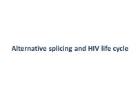 The HIV-1 splicing inhibitor, SPL-464, compromises viral replication in vitro and induces a long lasting anti-viral effect in... 