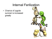 Gametogenesis Gametes develop in the gonads (sex cells) -  ppt download