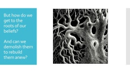 Cartesian Meditations From the Destruction of our Beliefs to the Beginnings of Certainty. -  ppt download