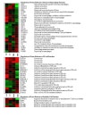 L4 L7 TB4 TB7 Regulation of Genes Relevant to General Immune Response C6Complement component 6, facilitates clearance of antigen... 