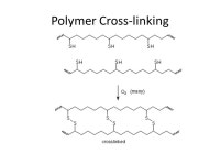 Silkworm. Polyethene synthesis from the addition rx of ethene. -  ppt download