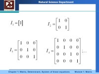 Company LOGO Chapter 1: Matrix, Determinant, System of linear equations Module 1: Matrix Natural Science Department Example 1... 