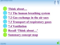 1 2 Think about… 7.1 The human breathing system 7.2 Gas exchange in the air sacs 7.3 Transport of respiratory gases 7.4... 