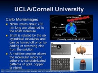Nano-Lab August 2003 Nano-scale motors. Molecular Motors  Biological Motors  Background  Three types of linear stepper protein... 
