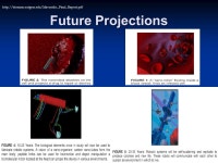 Nano-Lab August 2003 Nano-scale motors. Molecular Motors  Biological Motors  Background  Three types of linear stepper protein... 