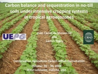 Conservation Agriculture Carbon Offset Consultation October 28 – 30, 2008 West Lafayette, Indiana, USA Carbon balance and... 