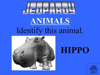 20 pt 30 pt 40 pt 50pt 10 pt 20 pt 30 pt 40 pt 50 pt 10 pt 20 pt 30 pt 40 pt 50 pt 10 pt 20 pt 30pt 40 pt 50 pt 10 pt... 