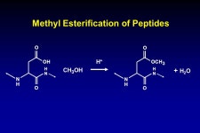 Protein and Peptide Sequencing by FTMS Susan Martin. -  ppt download