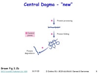 10/17/05 D Dobbs ISU - BCB 444/544X: Genes & Genomes1 10/17/05 Genes & Genomes (formerly Gene Prediction - 1) -  ppt download