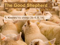 The Good Shepherd John The Good Shepherd 1.Knows his sheep (3b-4, 8, 14) John ppt download