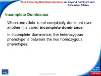 End Show Slide 1 of 31 Copyright Pearson Prentice Hall 11-3 Exploring Mendelian Genetics 11–3 Exploring Mendelian Genetics.... 