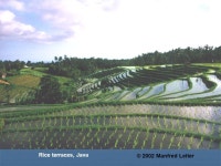 © T. M. Whitmore Last Time South Asia  Natural Resources and industry  Languages  Religion traditions  Cultural complexity... 